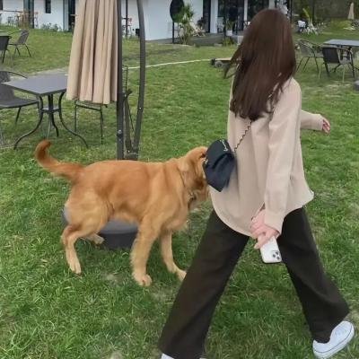 春寒